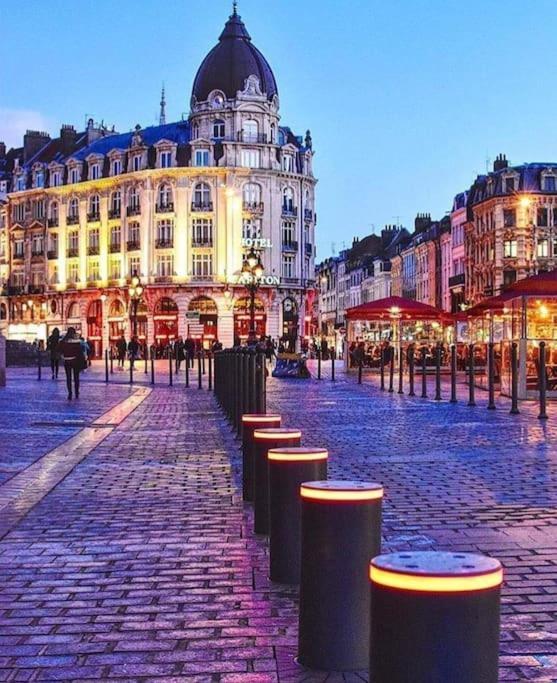 Panorama Lillois, Concierge-city La Madeleine (Nord)