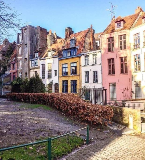 Panorama Lillois, Concierge-city Apartment La Madeleine (Nord)